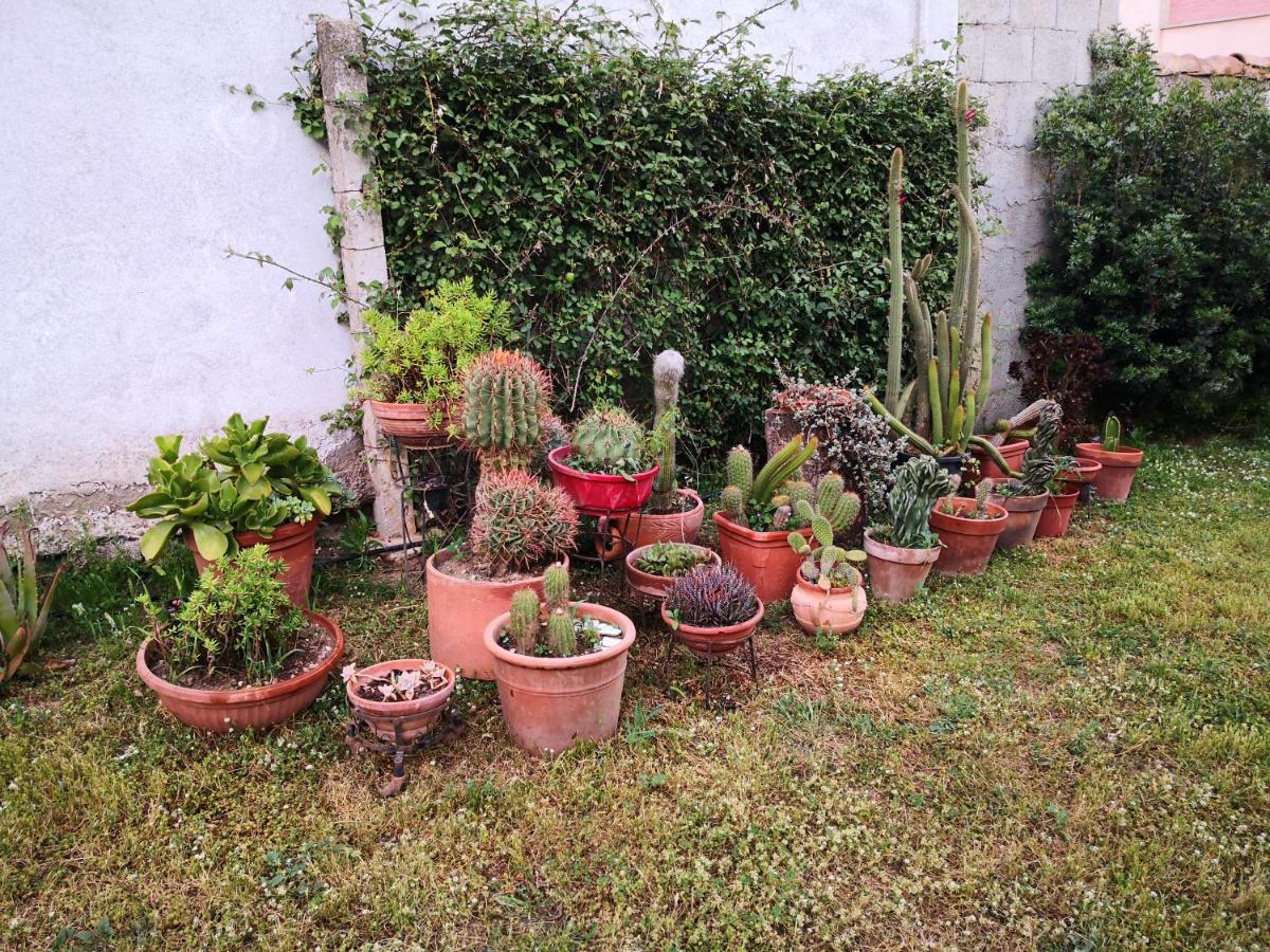 San Nicolo Gerrei Zia Chiarina Bed & Breakfast エクステリア 写真