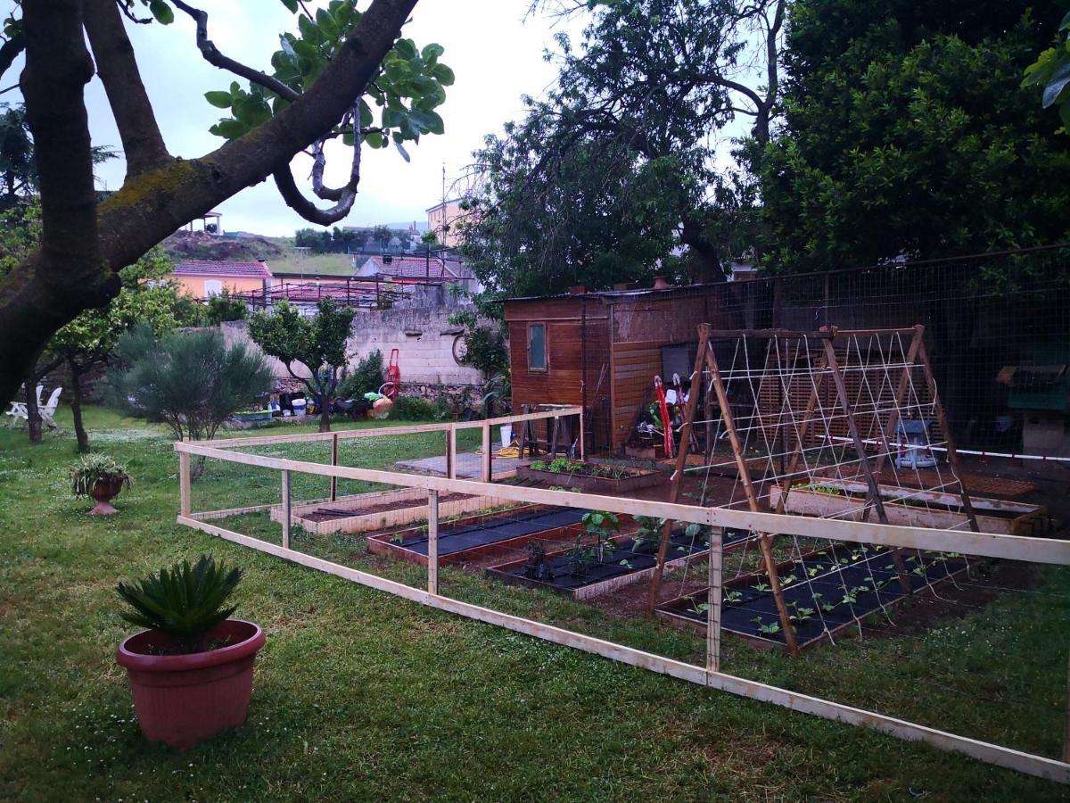 San Nicolo Gerrei Zia Chiarina Bed & Breakfast エクステリア 写真