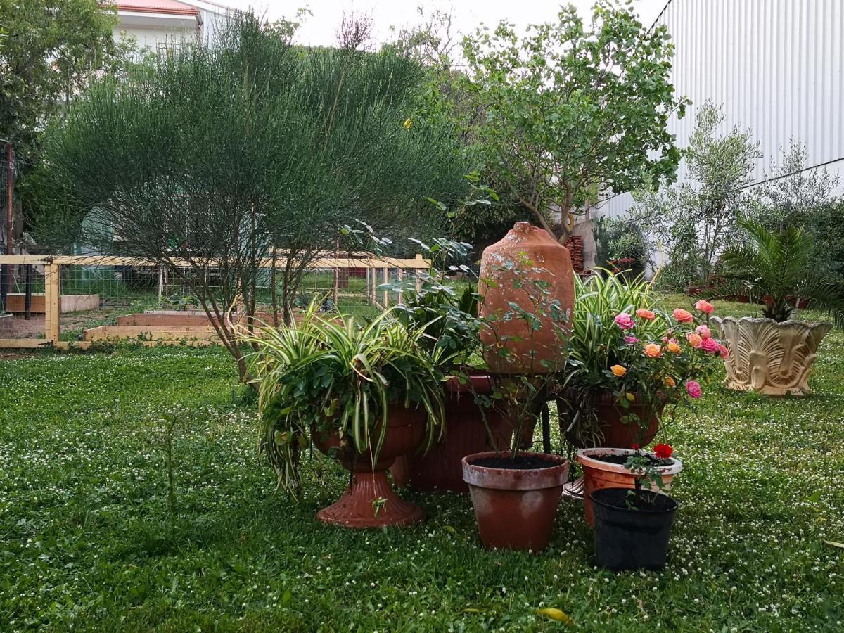 San Nicolo Gerrei Zia Chiarina Bed & Breakfast エクステリア 写真