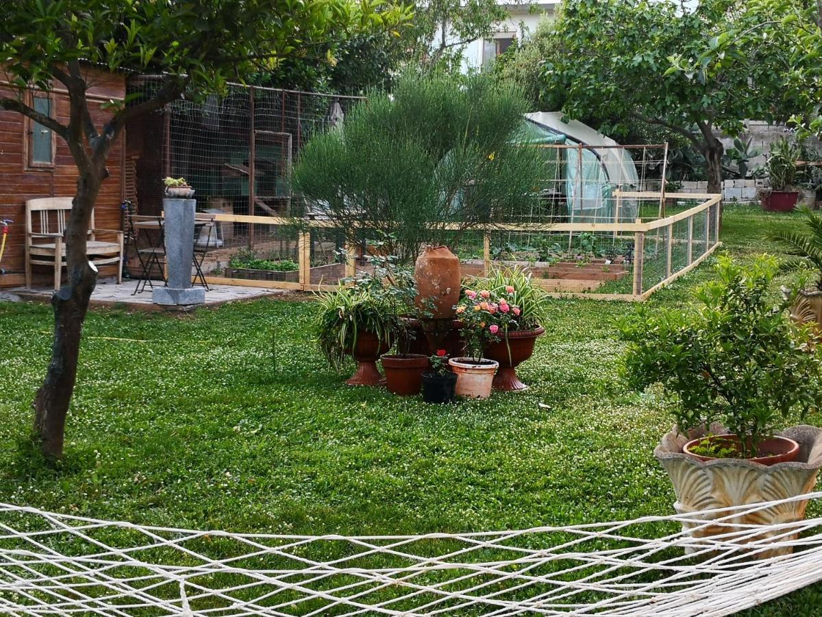 San Nicolo Gerrei Zia Chiarina Bed & Breakfast エクステリア 写真