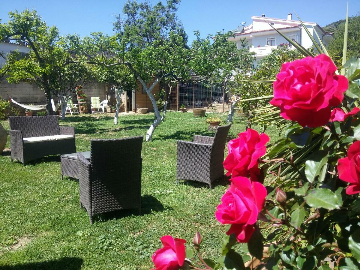 San Nicolo Gerrei Zia Chiarina Bed & Breakfast エクステリア 写真