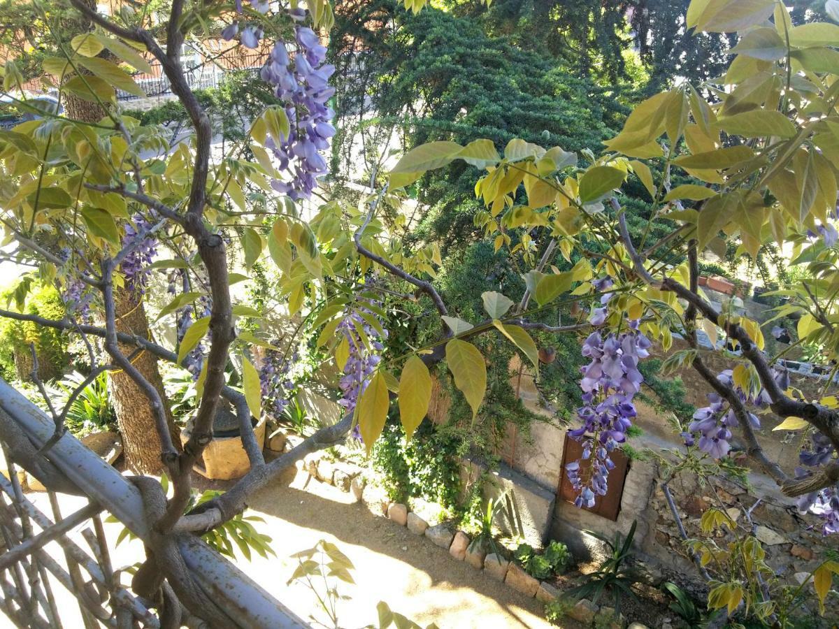 San Nicolo Gerrei Zia Chiarina Bed & Breakfast エクステリア 写真