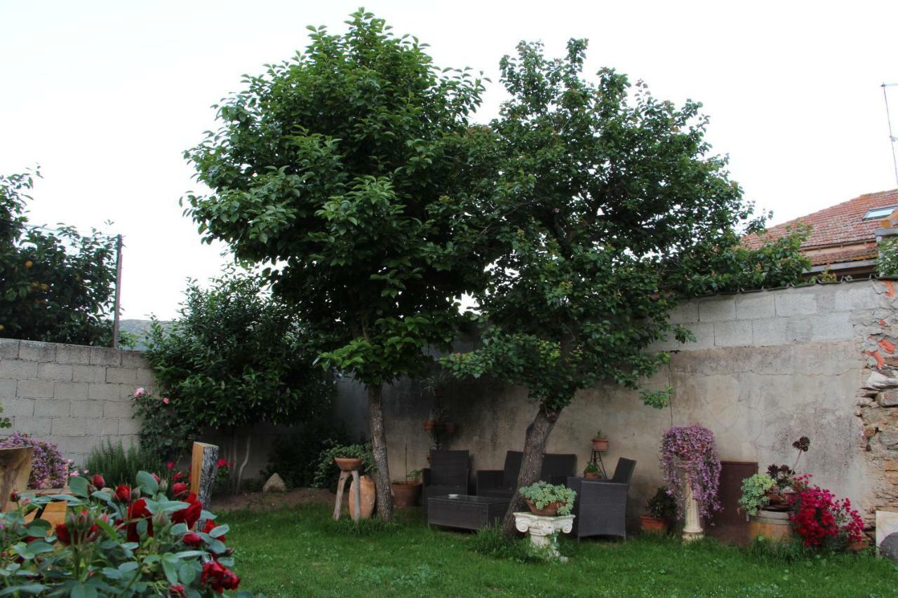 San Nicolo Gerrei Zia Chiarina Bed & Breakfast エクステリア 写真