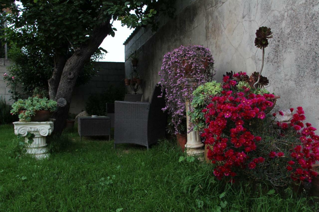 San Nicolo Gerrei Zia Chiarina Bed & Breakfast エクステリア 写真